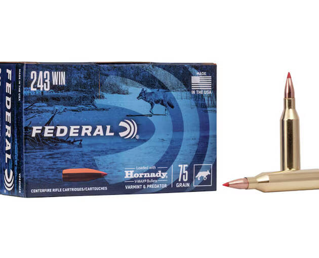 Federal Varmint & Predator 243 Winchester Ammo 75 Grain Hornady V-Max Polymer Tip - V243VM75